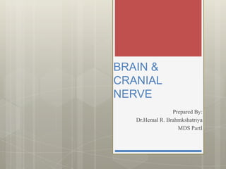 BRAIN &
CRANIAL
NERVE
Prepared By:
Dr.Hemal R. Brahmkshatriya
MDS PartI
 