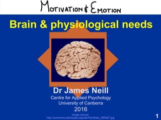 1
Motivation & Emotion
Dr James Neill
Centre for Applied Psychology
University of Canberra
2016
Brain & physiological needs
Image source:
http://commons.wikimedia.org/wiki/File:Brain_090407.jpg
 