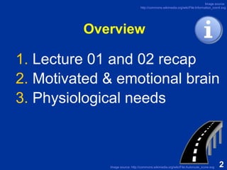 Brain and physiological needs