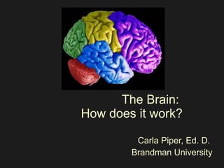 The Brain:  How does it work? Carla Piper, Ed. D.  Brandman University 
