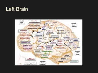 Left Brain 