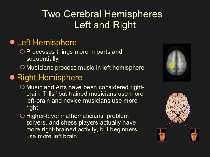 Two Cerebral Hemispheres Left and