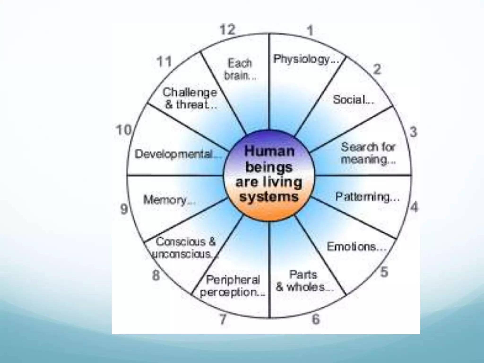 Brain Based Learning | PPTX
