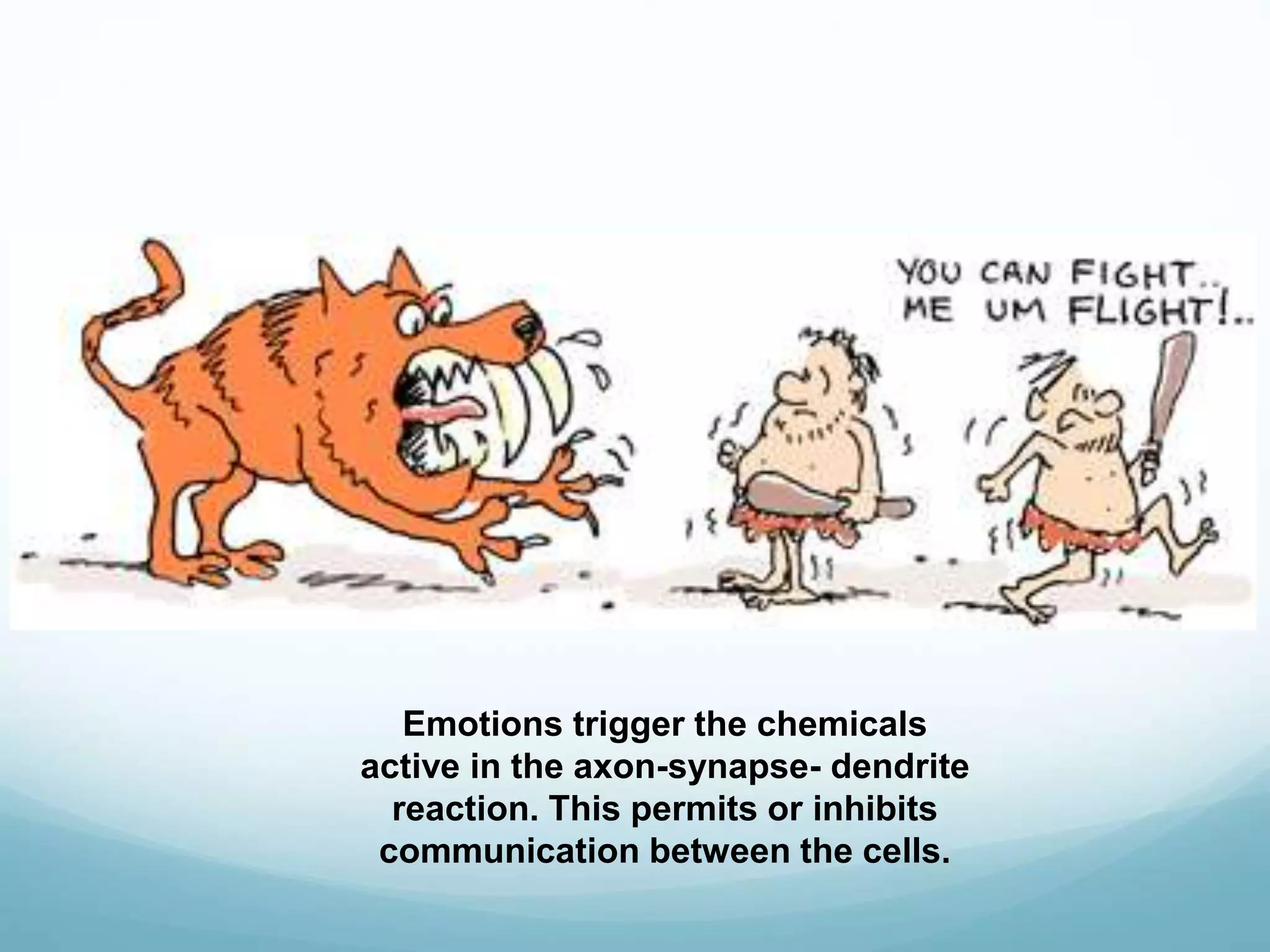 Emotions trigger the chemicals
active in the axon-synapse- dendrite
reaction. This permits or inhibits
communication between the cells.
 