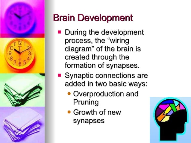 Brain-Based Learning | PPT | Brain and Nervous System Disorders ...