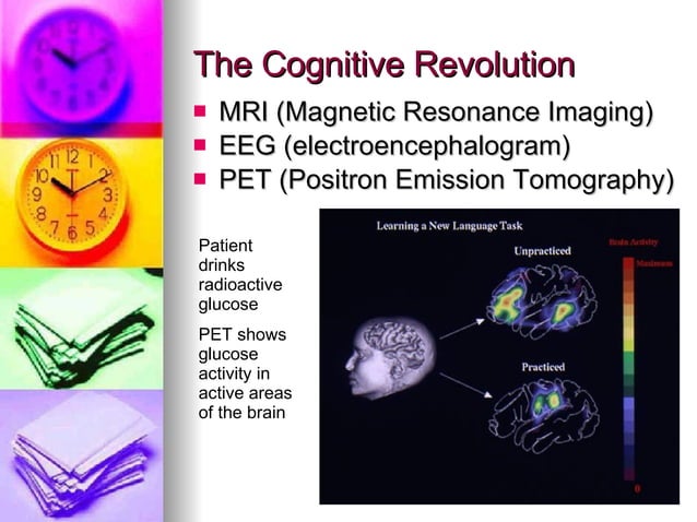 Brain-Based Learning | PPT | Brain and Nervous System Disorders ...