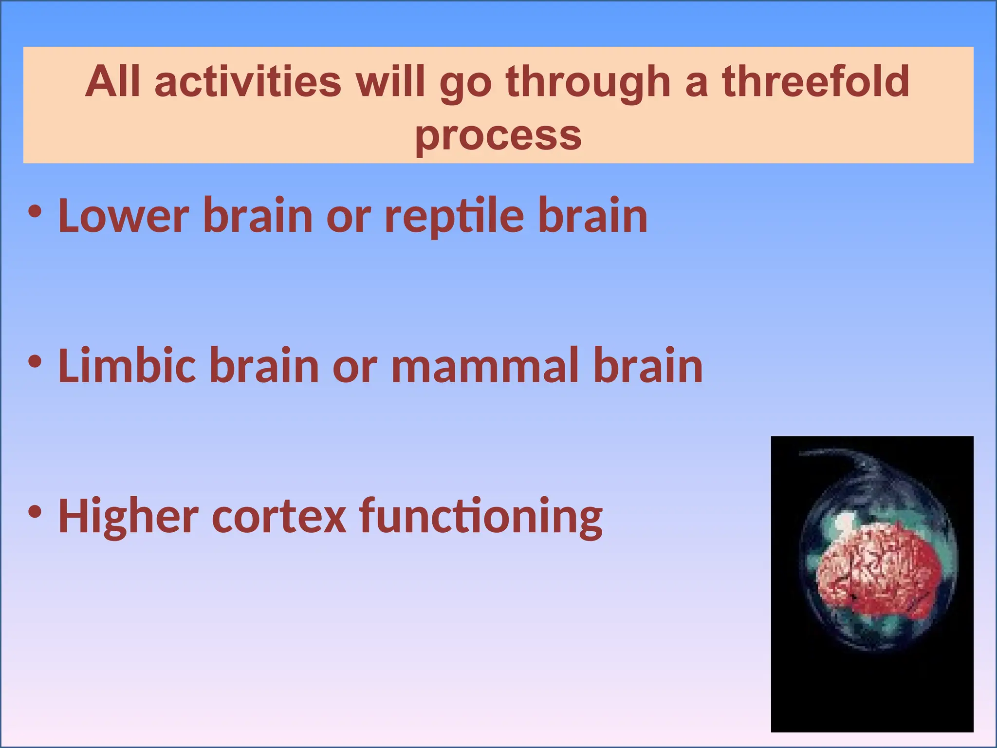 • Lower brain or reptile brain
• Limbic brain or mammal brain
• Higher cortex functioning
All activities will go through a threefold
process
 