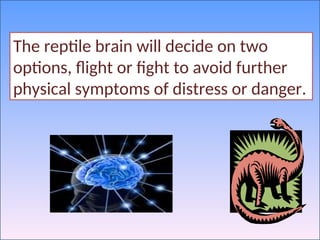 The reptile brain will decide on two
options, flight or fight to avoid further
physical symptoms of distress or danger.
 