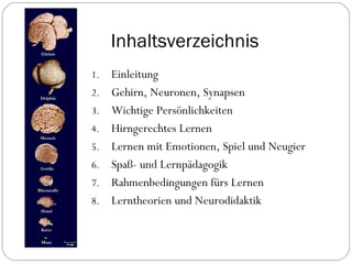 Inhaltsverzeichnis Einleitung Gehirn, Neuronen, Synapsen Wichtige Persönlichkeiten Hirngerechtes Lernen Lernen mit Emotionen, Spiel und Neugier Spaß- und Lernpädagogik Rahmenbedingungen fürs Lernen Lerntheorien und Neurodidaktik 