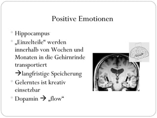 Positive Emotionen Hippocampus „ Einzelteile“ werden innerhalb von Wochen und Monaten in die Gehirnrinde transportiert  langfristige Speicherung Gelerntes ist kreativ einsetzbar Dopamin    „flow“  