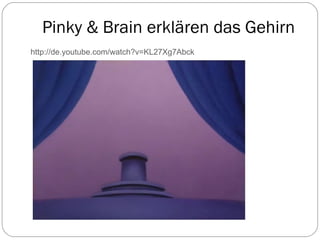 http://de.youtube.com/watch?v=KL27Xg7Abck Pinky & Brain erklären das Gehirn 