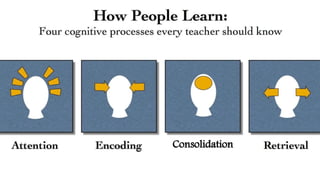 Information Processing
Consolidation
 