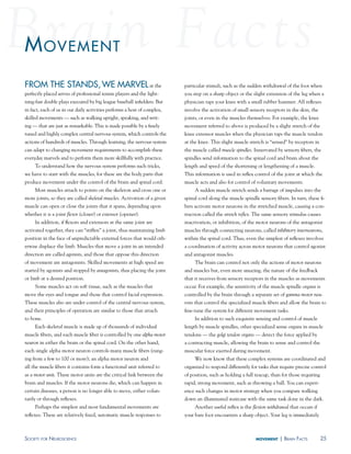 movement
FROm THE STaNdS, wE maRvEl at the                                         particular stimuli, such as the sudden withdrawal of the foot when
perfectly placed serves of professional tennis players and the light-     you step on a sharp object or the slight extension of the leg when a
ning-fast double plays executed by big league baseball infielders. But    physician taps your knee with a small rubber hammer. All reflexes
in fact, each of us in our daily activities performs a host of complex,   involve the activation of small sensory receptors in the skin, the
skilled movements — such as walking upright, speaking, and writ-          joints, or even in the muscles themselves. For example, the knee
ing — that are just as remarkable. This is made possible by a finely      movement referred to above is produced by a slight stretch of the
tuned and highly complex central nervous system, which controls the       knee extensor muscles when the physician taps the muscle tendon
actions of hundreds of muscles. Through learning, the nervous system      at the knee. This slight muscle stretch is “sensed” by receptors in
can adapt to changing movement requirements to accomplish these           the muscle called muscle spindles. Innervated by sensory fibers, the
everyday marvels and to perform them more skillfully with practice.       spindles send information to the spinal cord and brain about the
     To understand how the nervous system performs such tricks,           length and speed of the shortening or lengthening of a muscle.
we have to start with the muscles, for these are the body parts that      This information is used in reflex control of the joint at which the
produce movement under the control of the brain and spinal cord.          muscle acts and also for control of voluntary movements.
     Most muscles attach to points on the skeleton and cross one or            A sudden muscle stretch sends a barrage of impulses into the
more joints, so they are called skeletal muscles. Activation of a given   spinal cord along the muscle spindle sensory fibers. In turn, these fi-
muscle can open or close the joints that it spans, depending upon         bers activate motor neurons in the stretched muscle, causing a con-
whether it is a joint flexor (closer) or extensor (opener).               traction called the stretch reflex. The same sensory stimulus causes
     In addition, if flexors and extensors at the same joint are          inactivation, or inhibition, of the motor neurons of the antagonist
activated together, they can “stiffen” a joint, thus maintaining limb     muscles through connecting neurons, called inhibitory interneurons,
position in the face of unpredictable external forces that would oth-     within the spinal cord. Thus, even the simplest of reflexes involves
erwise displace the limb. Muscles that move a joint in an intended        a coordination of activity across motor neurons that control agonist
direction are called agonists, and those that oppose this direction       and antagonist muscles.
of movement are antagonists. Skilled movements at high speed are               The brain can control not only the actions of motor neurons
started by agonists and stopped by antagonists, thus placing the joint    and muscles but, even more amazing, the nature of the feedback
or limb at a desired position.                                            that it receives from sensory receptors in the muscles as movements
     Some muscles act on soft tissue, such as the muscles that            occur. For example, the sensitivity of the muscle spindle organs is
move the eyes and tongue and those that control facial expression.        controlled by the brain through a separate set of gamma motor neu-
These muscles also are under control of the central nervous system,       rons that control the specialized muscle fibers and allow the brain to
and their principles of operation are similar to those that attach        fine-tune the system for different movement tasks.
to bone.                                                                       In addition to such exquisite sensing and control of muscle
     Each skeletal muscle is made up of thousands of individual           length by muscle spindles, other specialized sense organs in muscle
muscle fibers, and each muscle fiber is controlled by one alpha motor     tendons — the golgi tendon organs — detect the force applied by
neuron in either the brain or the spinal cord. On the other hand,         a contracting muscle, allowing the brain to sense and control the
each single alpha motor neuron controls many muscle fibers (rang-         muscular force exerted during movement.
ing from a few to 100 or more); an alpha motor neuron and                      We now know that these complex systems are coordinated and
all the muscle fibers it contains form a functional unit referred to      organized to respond differently for tasks that require precise control
as a motor unit. These motor units are the critical link between the      of position, such as holding a full teacup, than for those requiring
brain and muscles. If the motor neurons die, which can happen in          rapid, strong movement, such as throwing a ball. You can experi-
certain diseases, a person is no longer able to move, either volun-       ence such changes in motor strategy when you compare walking
tarily or through reflexes.                                               down an illuminated staircase with the same task done in the dark.
     Perhaps the simplest and most fundamental movements are                   Another useful reflex is the flexion withdrawal that occurs if
reflexes. These are relatively fixed, automatic muscle responses to       your bare foot encounters a sharp object. Your leg is immediately



soCiety For neurosCienCe                                                                                     movement     | Brain FaCts          25
 