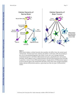 Rich and Eyler Page 15 
Figure 1. 
Brain tumors display a cellular hierarchy that resembles, but differs from, the normal neural 
cell hierarchy. Normal neural stem cells have the ability to self-renew while also dividing to 
give rise to uncommitted progenitor cells which, in turn, give rise to lineage-restricted 
committed progenitors and finally differentiated astrocytes, oligodendrocytes and neurons. 
Similarly, tumors appear to have a cellular hierarchy with self-renewing glioma stem cells able 
to generate a variety of more differentiated progeny, though patterns of differentiation appear 
to be less discrete than in the normal brain and many of the cancer stem cell-derived progeny 
display aberrant differentiation patterns, expressing more than one type of differentiation 
marker. 
Cold Spring Harb Symp Quant Biol. Author manuscript; available in PMC 2010 March 27. 
NIH-PA Author Manuscript NIH-PA Author Manuscript NIH-PA Author Manuscript 
 