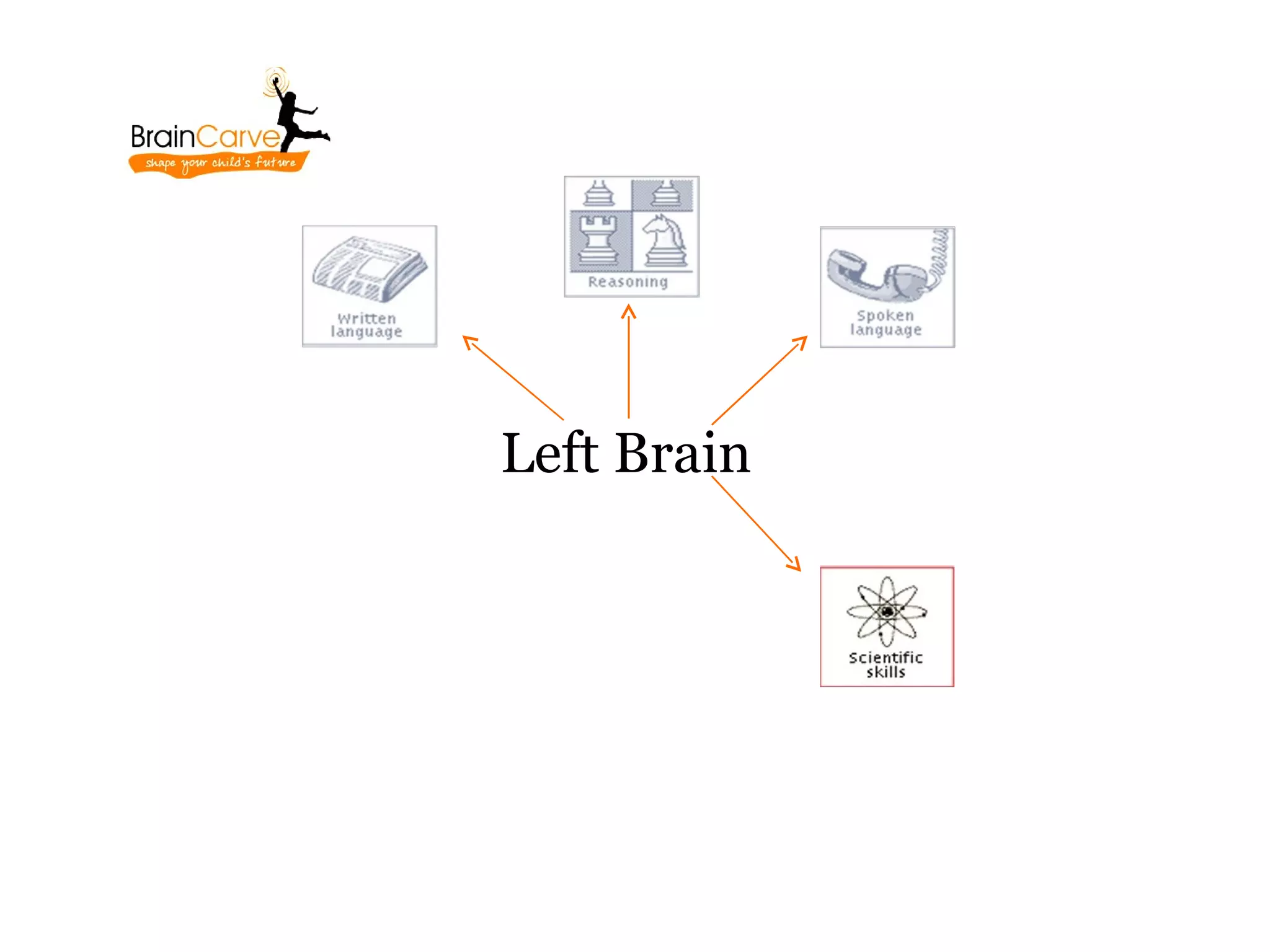 Left Brain
 