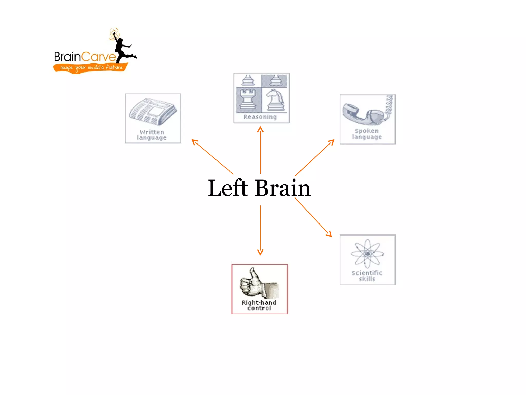 Left Brain
 