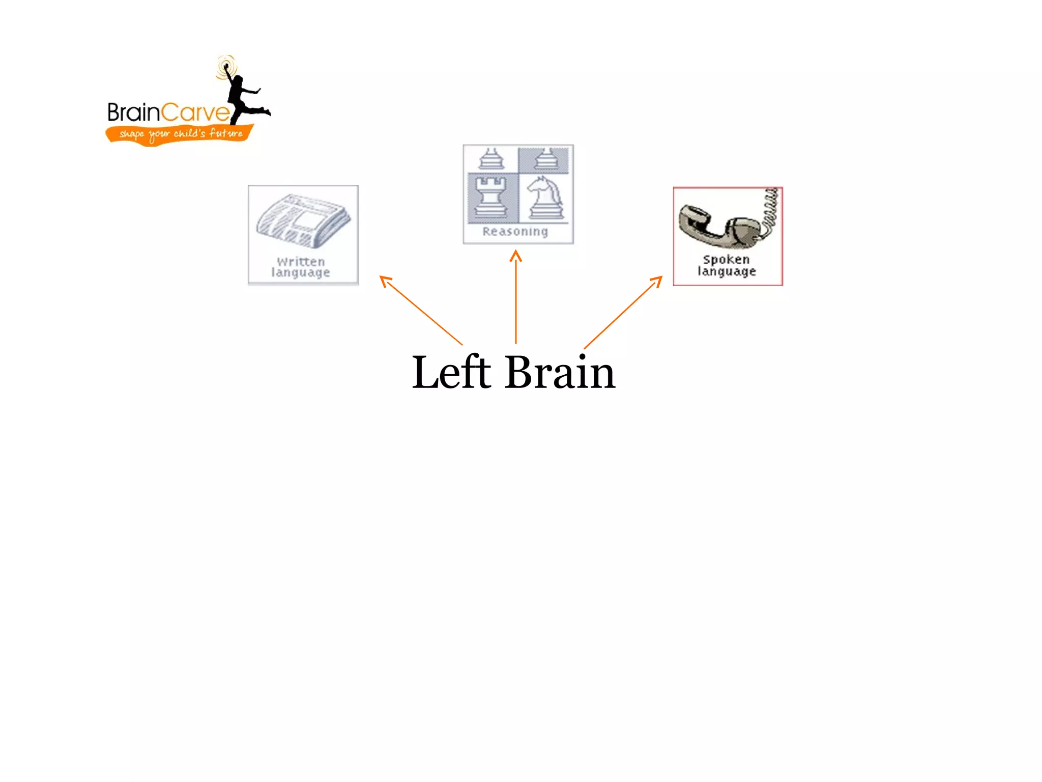 Left Brain
 