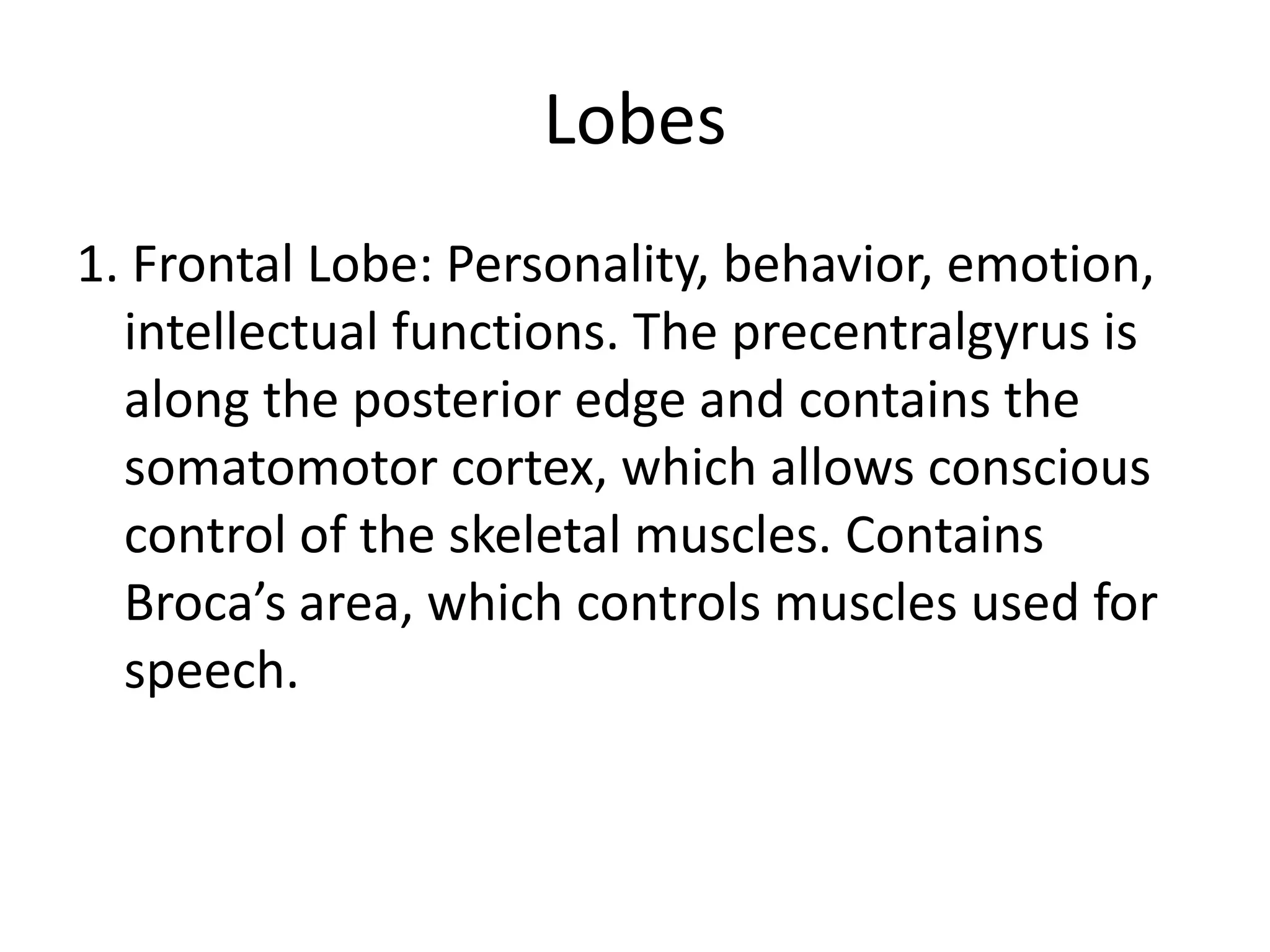Lobes
1. Frontal Lobe: Personality, behavior, emotion,
  intellectual functions. The precentralgyrus is
  along the posterior edge and contains the
  somatomotor cortex, which allows conscious
  control of the skeletal muscles. Contains
  Broca’s area, which controls muscles used for
  speech.
 
