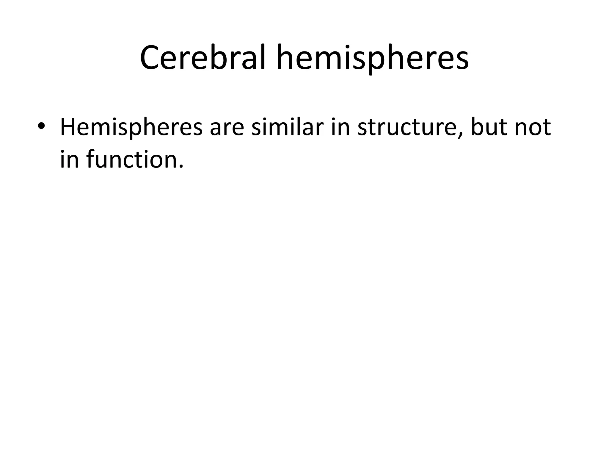 Cerebral hemispheres
• Hemispheres are similar in structure, but not
  in function.
 