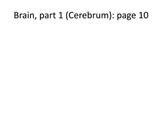 Brain, part 1 (Cerebrum): page 10
 