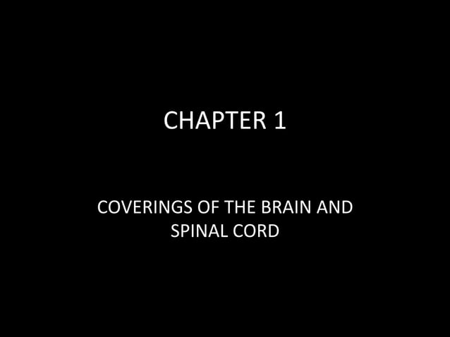 Brain Chapter 1 Sample Page Ppt Brain Chapter 1 Sample Page Ppt