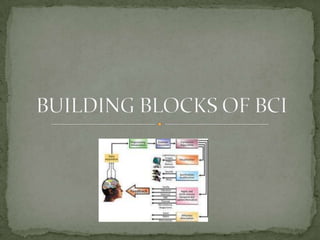 BUILDING BLOCKS OF BCI