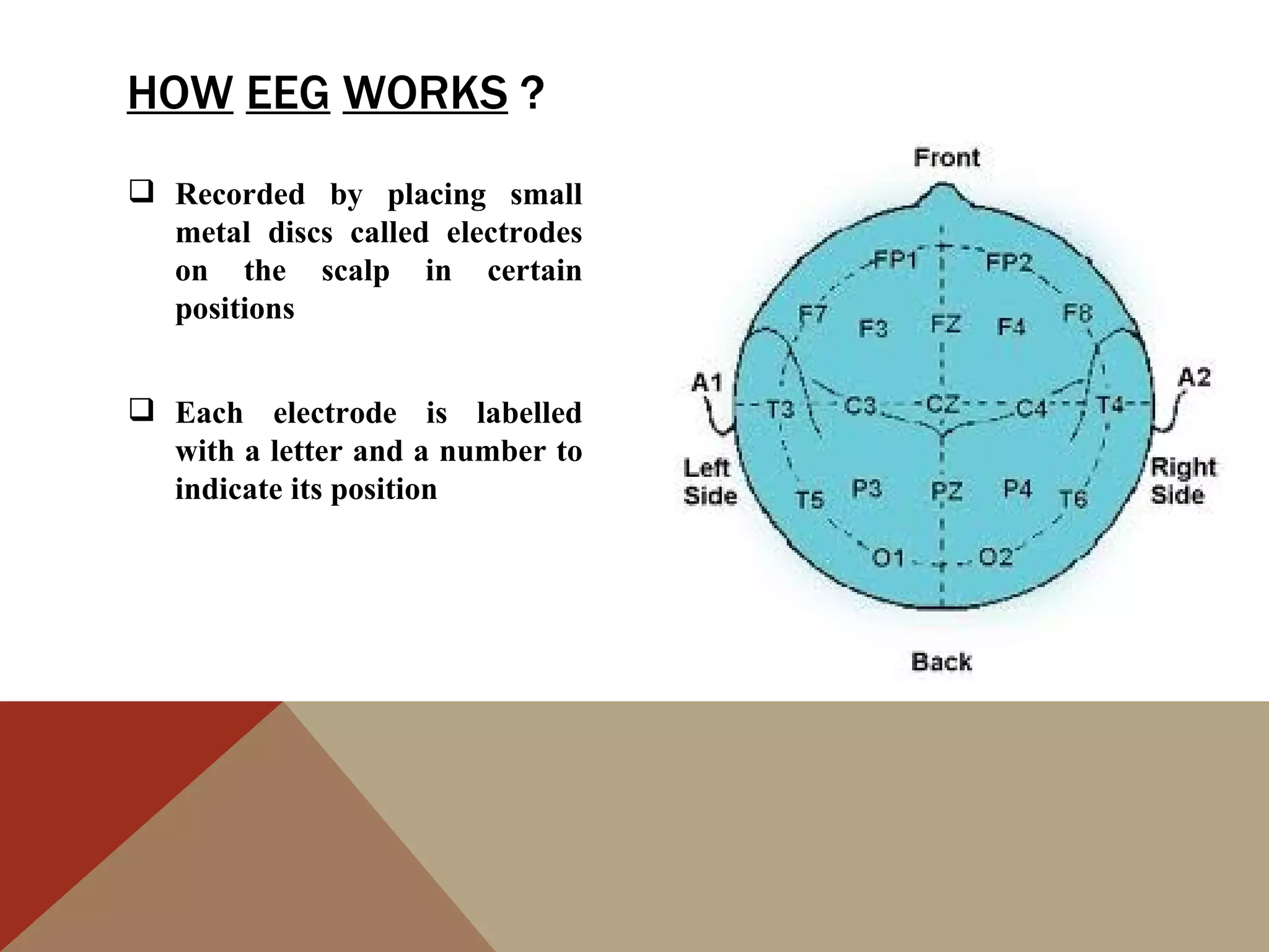 HOW EEG WORKS ?
 Recorded by placing small
  metal discs called electrodes
  on the scalp in certain
  positions


 Each electrode is labelled
  with a letter and a number to
  indicate its position
 