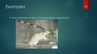 Examples
 Rats implanted with BCIs in Theodore Berger’s experiments
16
 