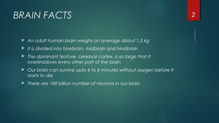 BRAIN FACTS
 An adult human brain weighs on average about 1.5 kg
 It is divided into forebrain, midbrain and hindbrain
 The dominant feature, cerebral cortex, is so large that it
overshadows every other part of the brain
 Our brain can survive upto 4 to 6 minutes without oxygen before it
starts to die
 There are 100 billion number of neurons in our brain
2
 