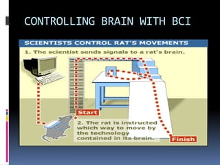 CONTROLLING BRAIN WITH BCI
 