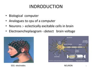 INDRODUCTION 
• Biological computer 
• Analogues to cpu of a computer 
• Neurons :- eclectically excitable cells in brain 
• Electroencheplaogram -:detect brain voltage 
EEG electrodes NEURON 3 
 