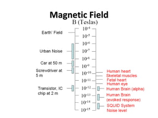 Magnetic Field
 