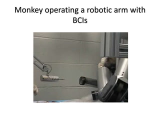 Monkey operating a robotic arm with
BCIs
 