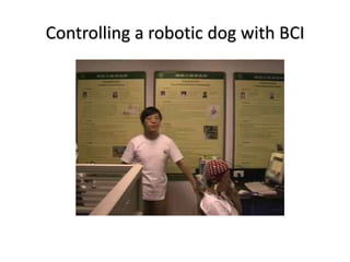 Controlling a robotic dog with BCI
 