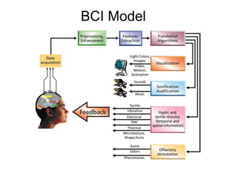 BCI Model
 