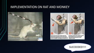 IMPLEMENTATION ON RAT AND MONKEY
SUCCEEDED!!!!
 