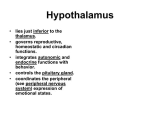 Hypothalamus
• lies just inferior to the
thalamus.
• governs reproductive,
homeostatic and circadian
functions.
• integrates autonomic and
endocrine functions with
behavior.
• controls the pituitary gland.
• coordinates the peripheral
(see peripheral nervous
system) expression of
emotional states.
 