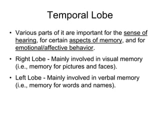 Temporal Lobe
• Various parts of it are important for the sense of
hearing, for certain aspects of memory, and for
emotional/affective behavior.
• Right Lobe - Mainly involved in visual memory
(i.e., memory for pictures and faces).
• Left Lobe - Mainly involved in verbal memory
(i.e., memory for words and names).
 