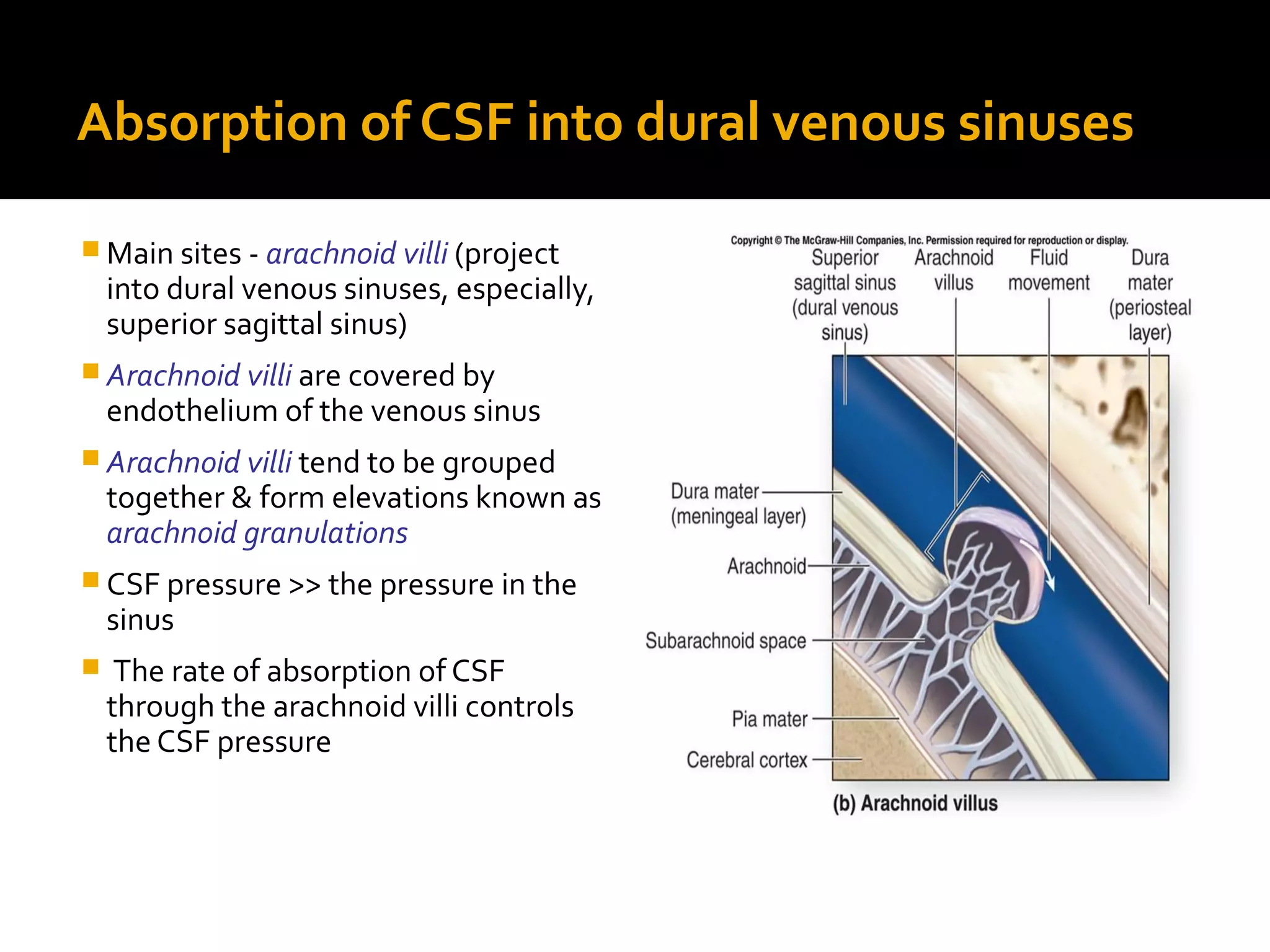 Absorption of CSF into dural venous sinuses
 Main sites - arachnoid villi (project
into dural venous sinuses, especially,
superior sagittal sinus)
 Arachnoid villi are covered by
endothelium of the venous sinus
 Arachnoid villi tend to be grouped
together & form elevations known as
arachnoid granulations
 CSF pressure >> the pressure in the
sinus
 The rate of absorption of CSF
through the arachnoid villi controls
the CSF pressure
 