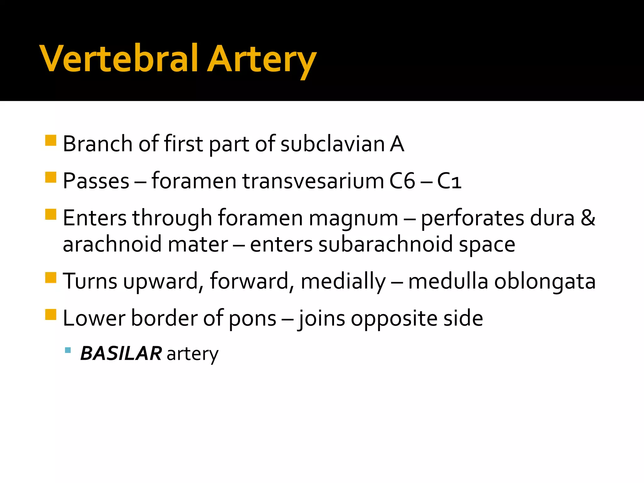 Vertebral Artery
 Branch of first part of subclavian A
 Passes – foramen transvesarium C6 – C1
 Enters through foramen magnum – perforates dura &
arachnoid mater – enters subarachnoid space
 Turns upward, forward, medially – medulla oblongata
 Lower border of pons – joins opposite side
 BASILAR artery
 
