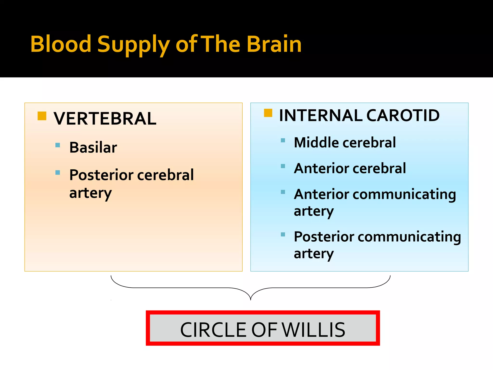 Blood Supply ofThe Brain
 VERTEBRAL
 Basilar
 Posterior cerebral
artery
 INTERNAL CAROTID
 Middle cerebral
 Anterior cerebral
 Anterior communicating
artery
 Posterior communicating
artery
CIRCLE OFWILLIS
 