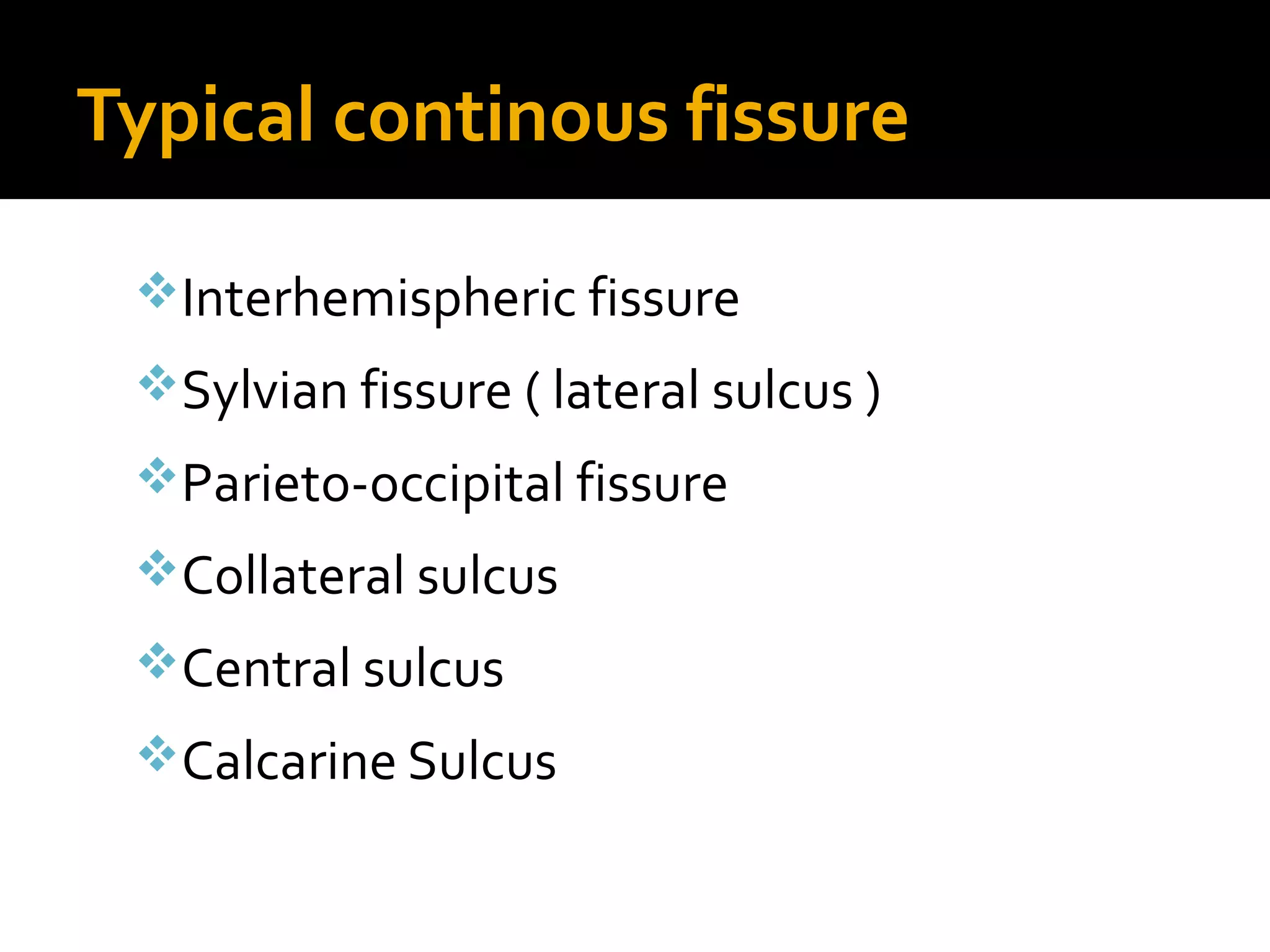 Typical continous fissure
Interhemispheric fissure
Sylvian fissure ( lateral sulcus )
Parieto-occipital fissure
Collateral sulcus
Central sulcus
Calcarine Sulcus
 