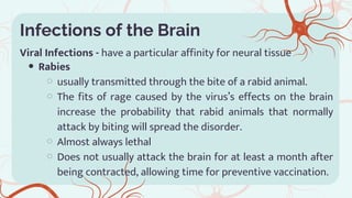 Brain Damage and Neuroplasticity on behavior | PDF