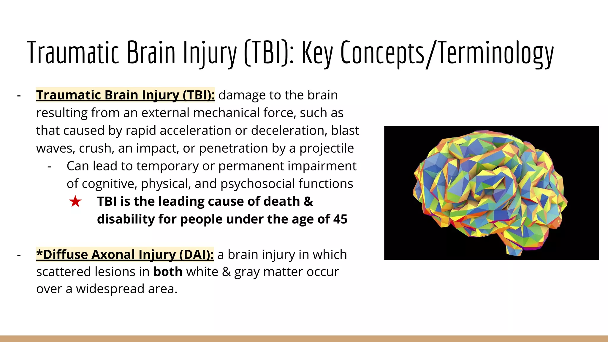 Brain Damage in Animals | PDF
