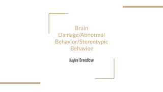 Brain
Damage/Abnormal
Behavior/Stereotypic
Behavior
Kaylee Breedlove
 