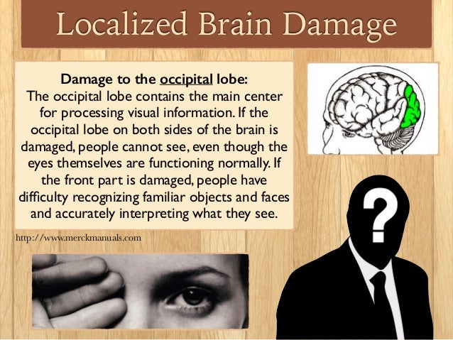 Brain Damage & Behavior