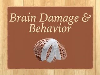 Brain Damage &
Behavior
 