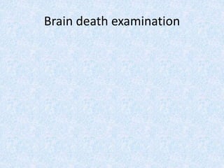 Brain death examination
 
