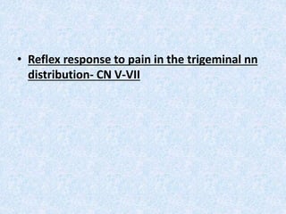 • Reflex response to pain in the trigeminal nn
distribution- CN V-VII
 