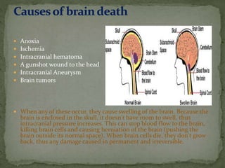  Anoxia
 Ischemia
 Intracranial hematoma
 A gunshot wound to the head
 Intracranial Aneurysm
 Brain tumors
 When any of these occur, they cause swelling of the brain. Because the
brain is enclosed in the skull, it doesn't have room to swell, thus
intracranial pressure increases. This can stop blood flow to the brain,
killing brain cells and causing herniation of the brain (pushing the
brain outside its normal space). When brain cells die, they don't grow
back, thus any damage caused in permanent and irreversible.
 